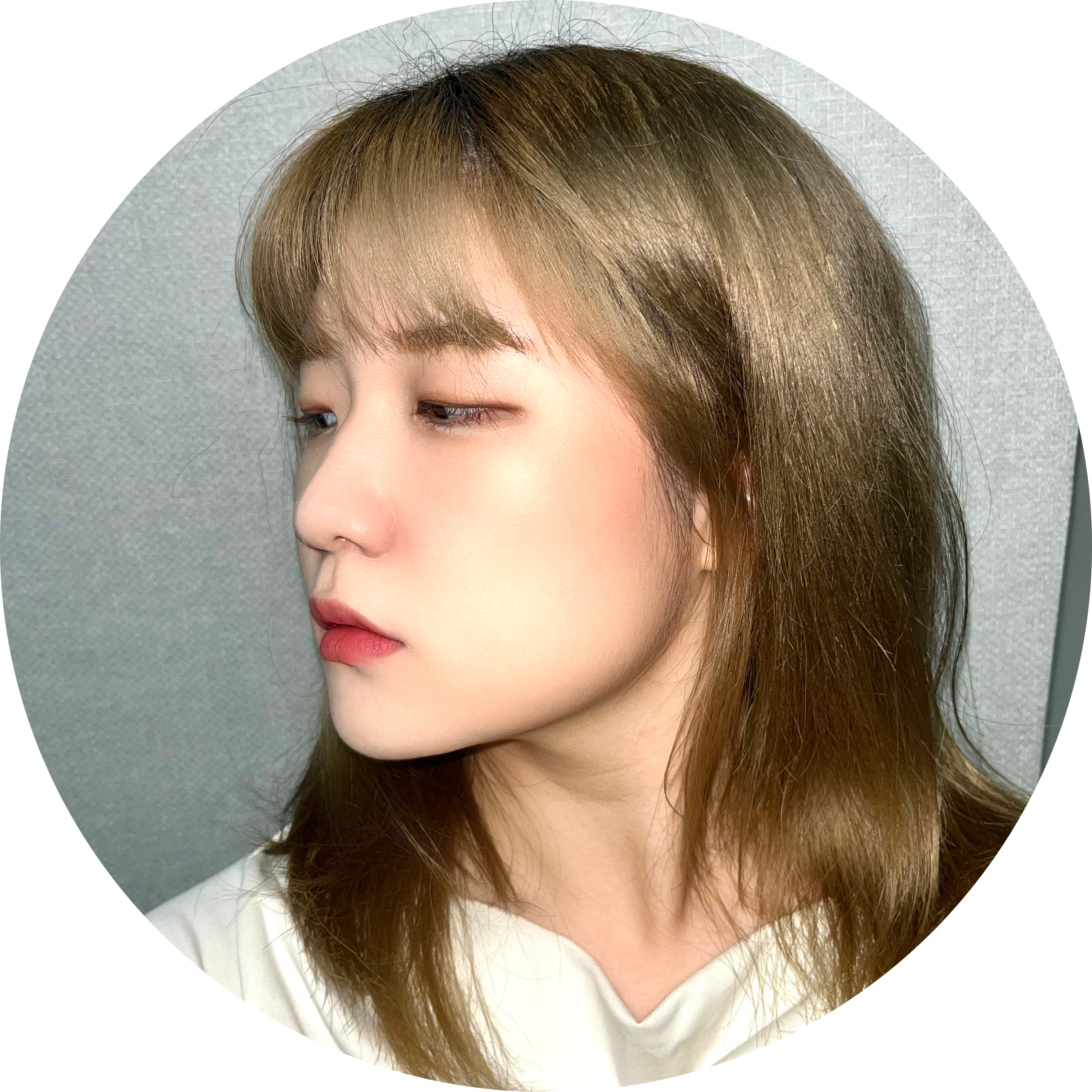소프트연 프로필