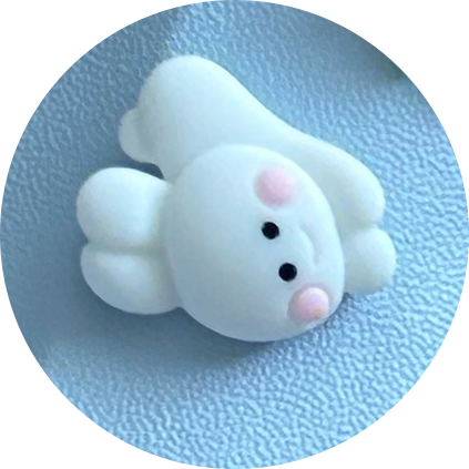 진니에용 프로필