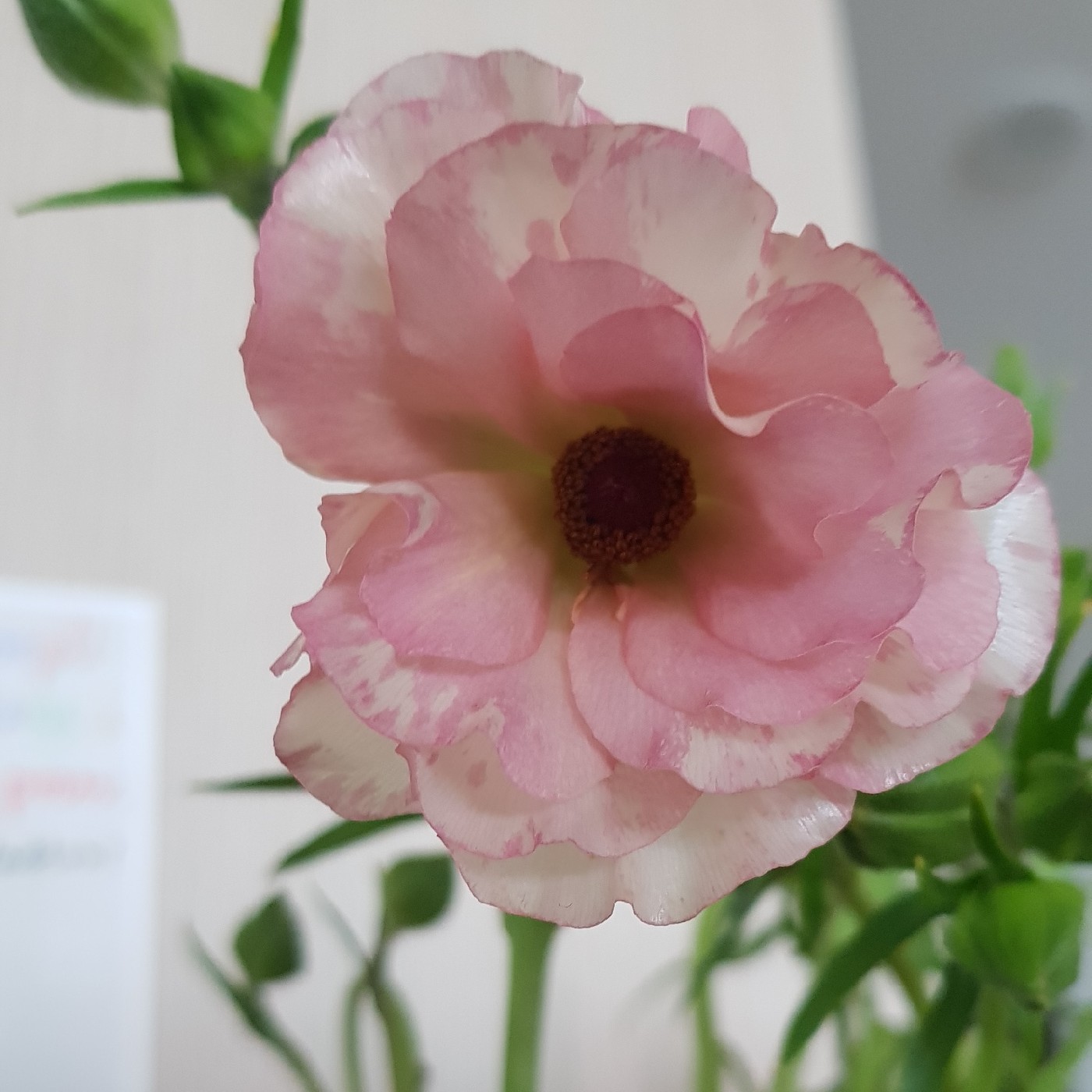높게더높게 프로필