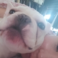 봉봉보옹오오