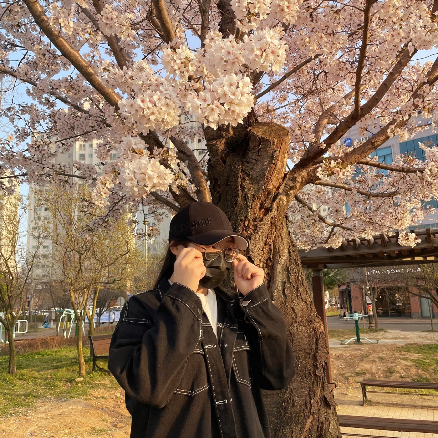 고사리삼 프로필