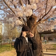 고사리삼