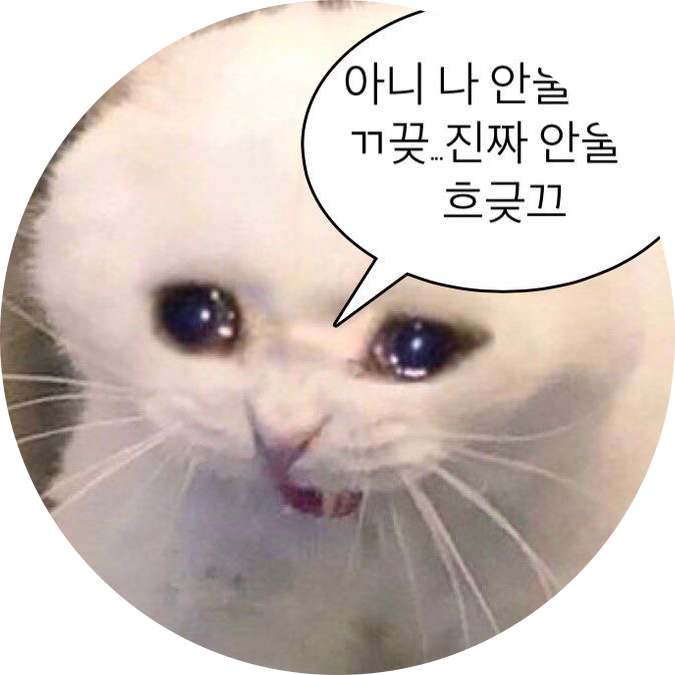 민치즈 프로필