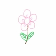김태연태김