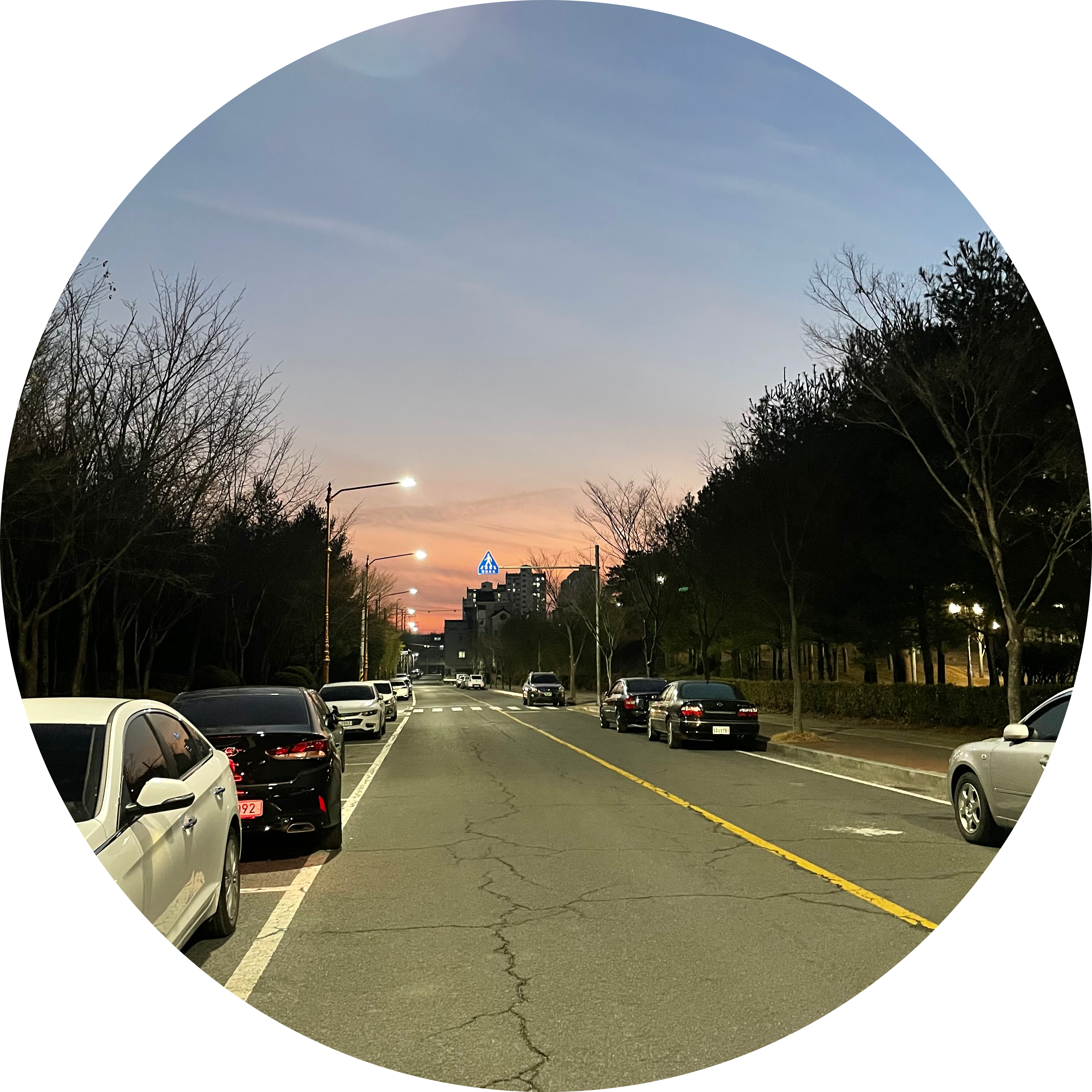 링링xoxo 프로필