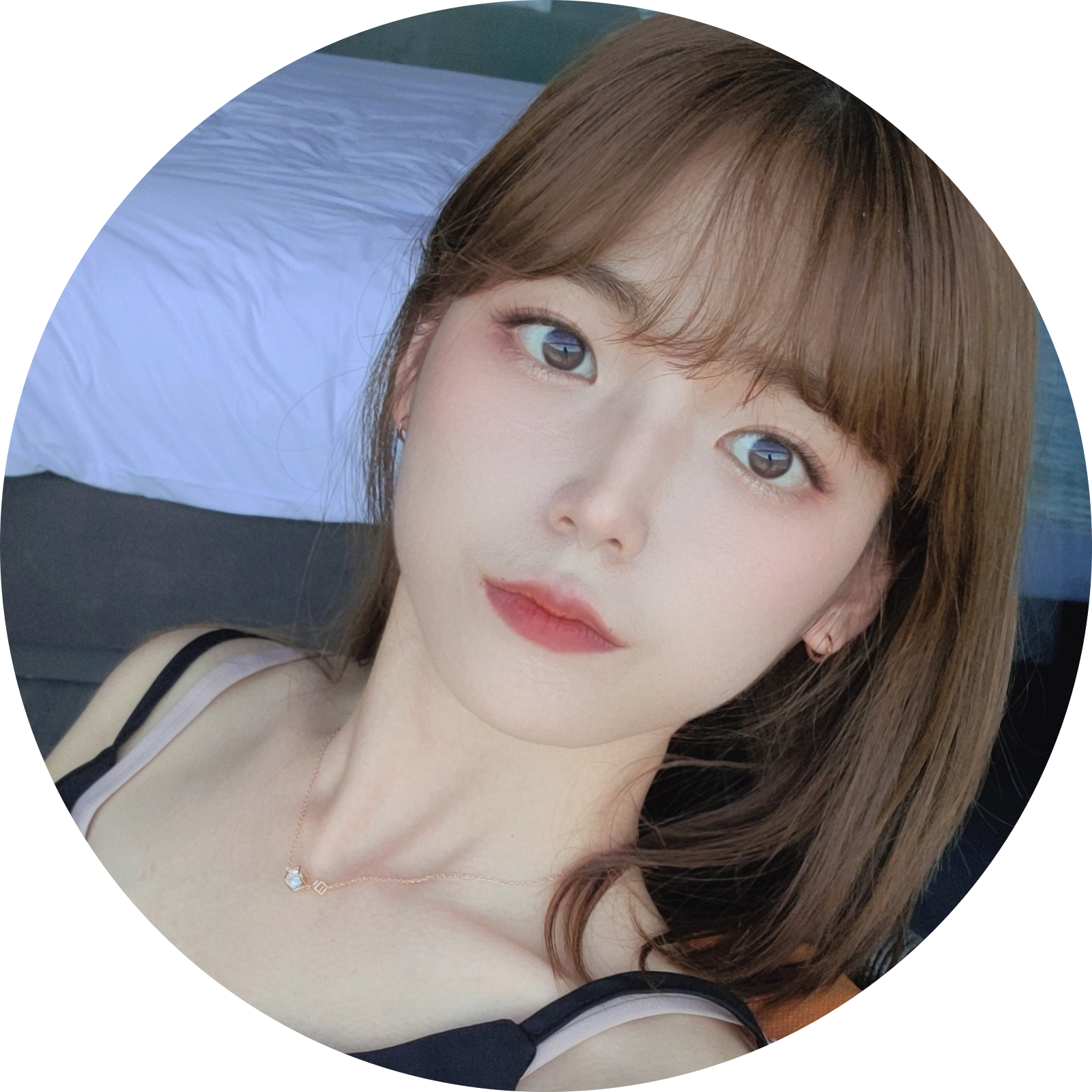 이꼼이 프로필