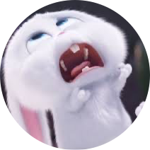 slush 프로필