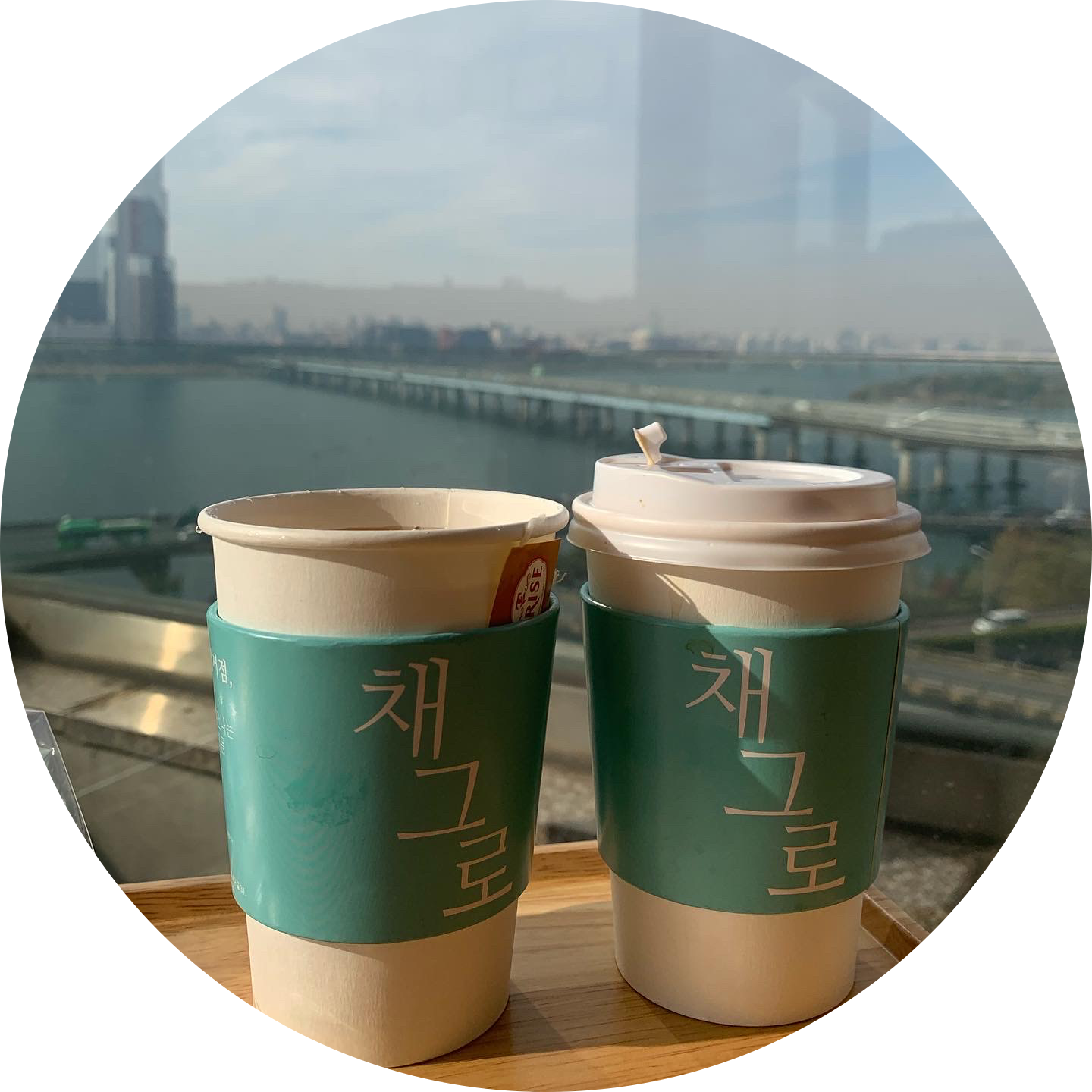 Tongtongee 프로필