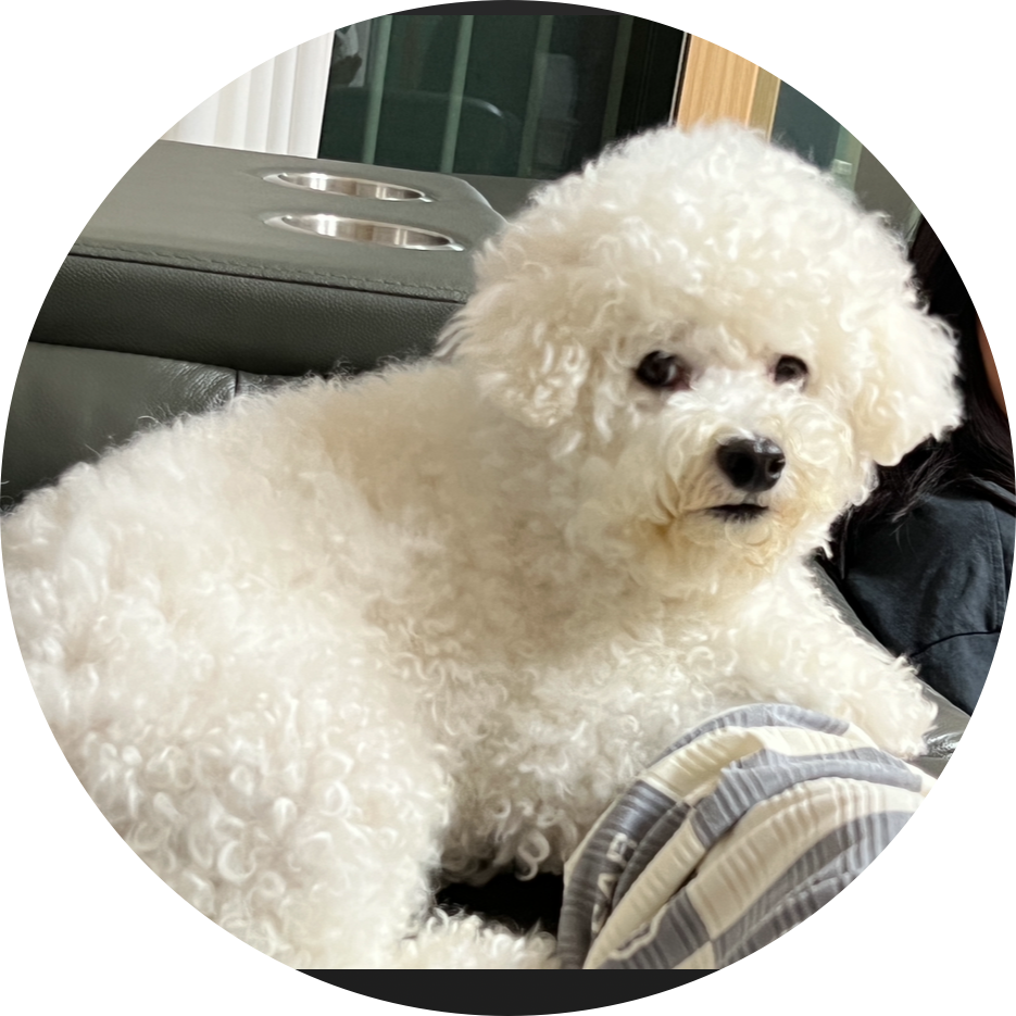 Ha2ru 프로필