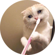 아워블루