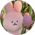 햇살별빛여름가을