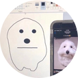 잉잉임
