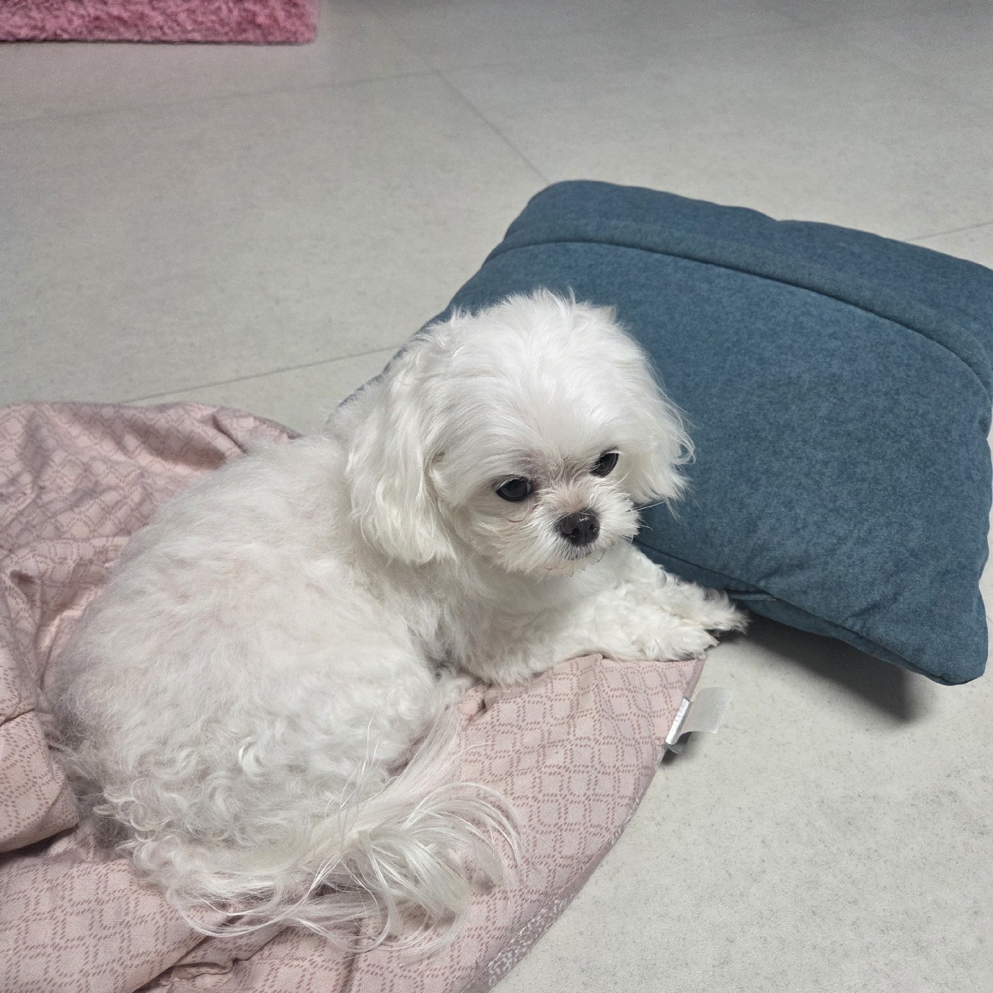 리뷰어 프로필