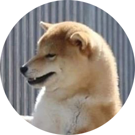 totoni 프로필