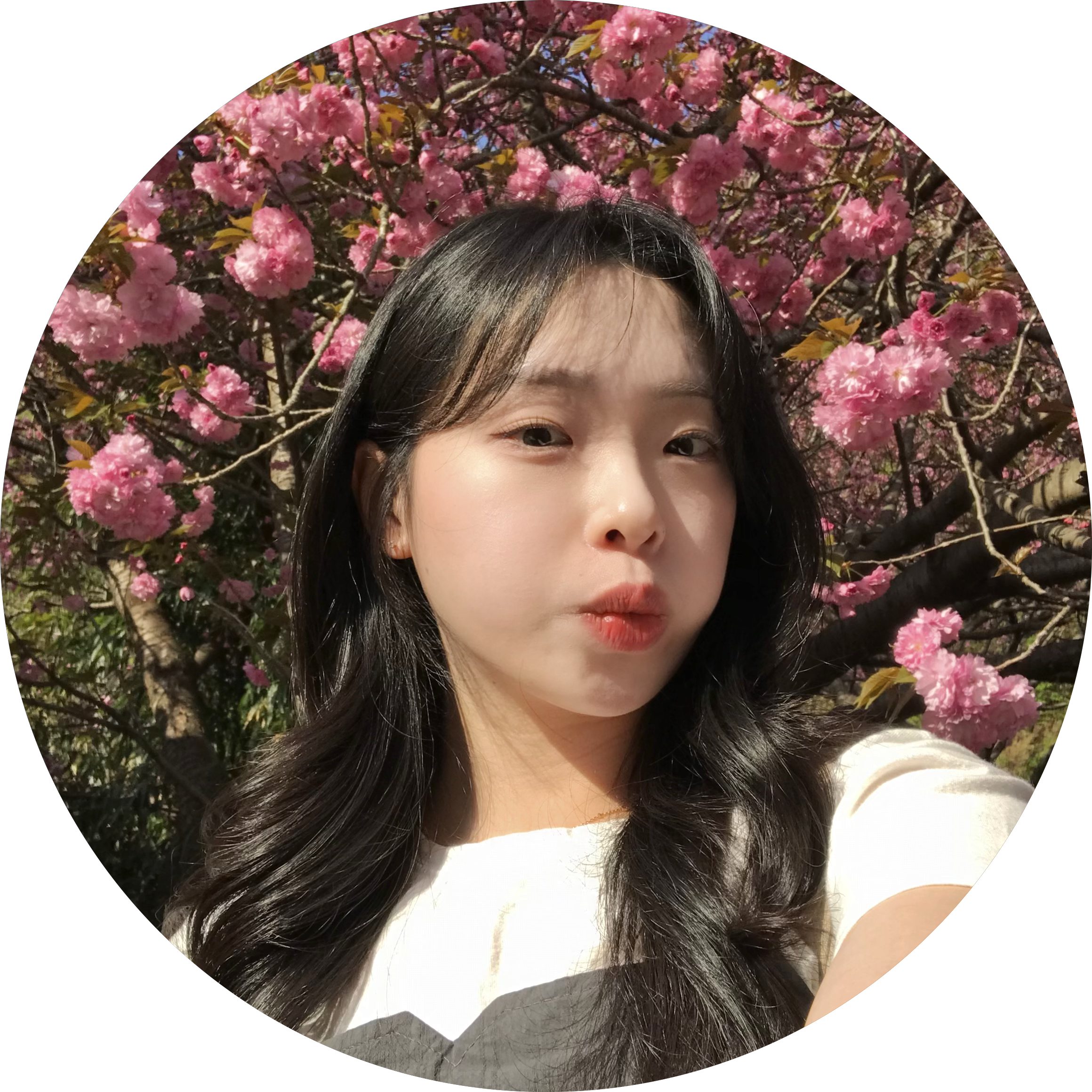 merryseri 프로필