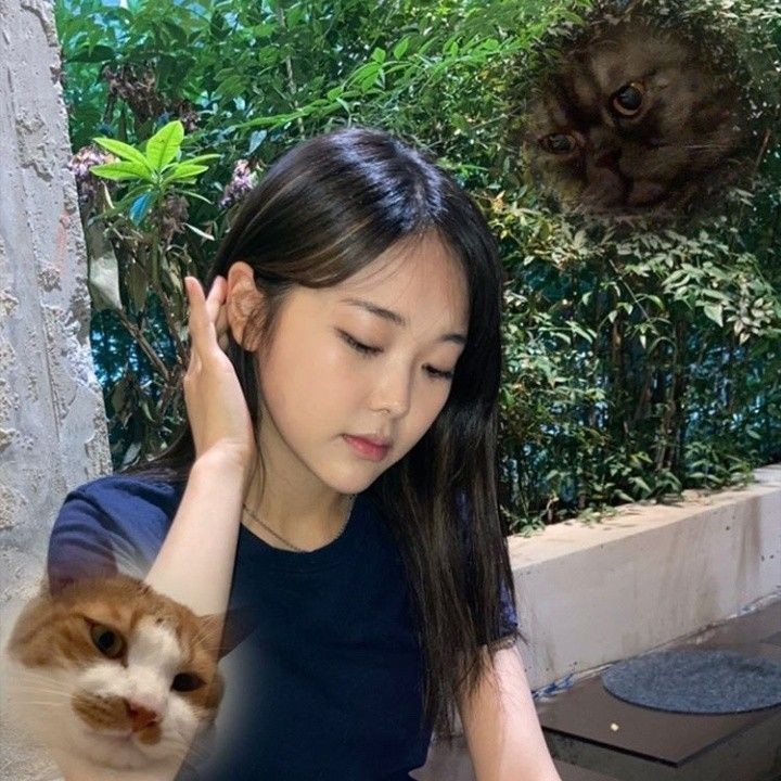 imsosorry 프로필