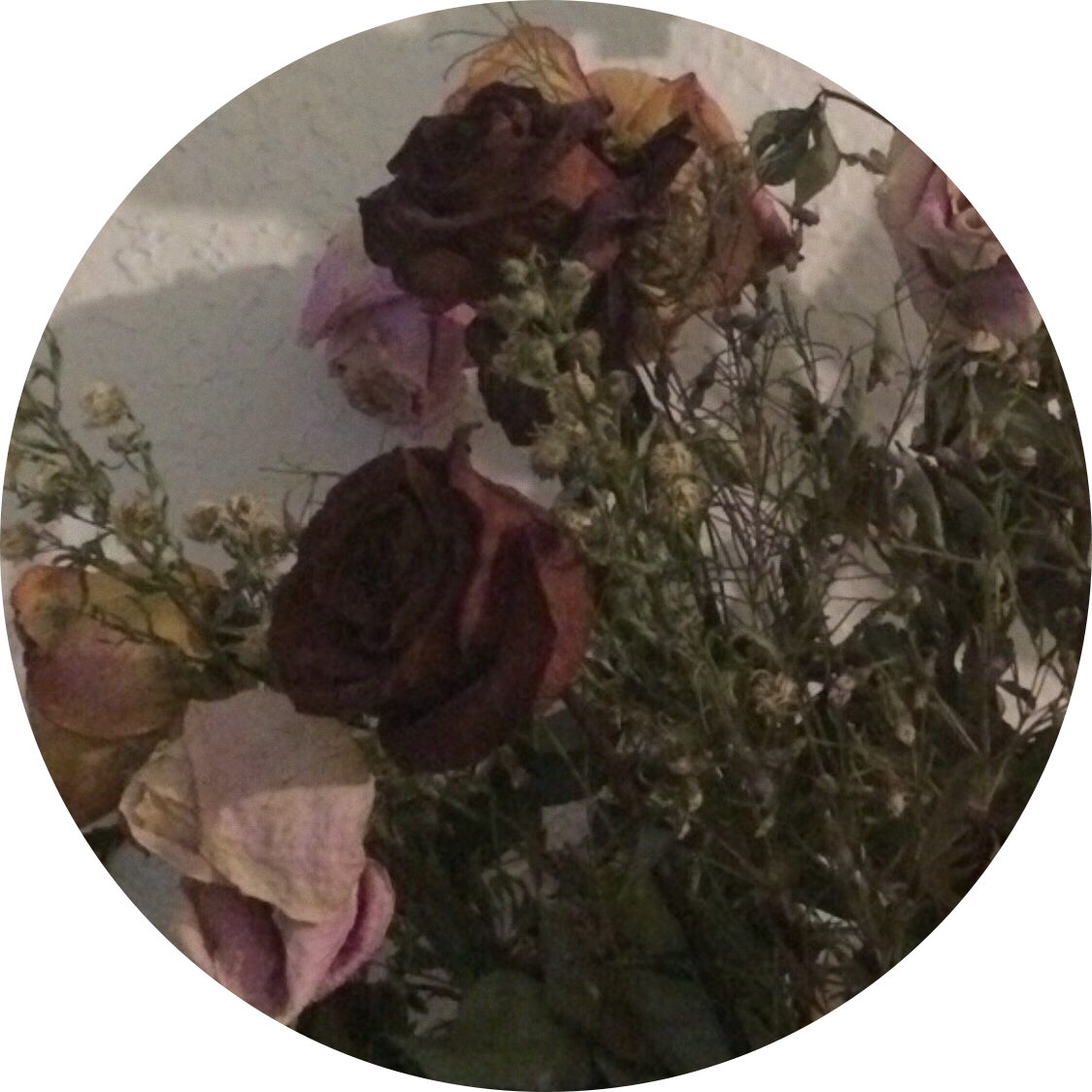 kitizzy 프로필