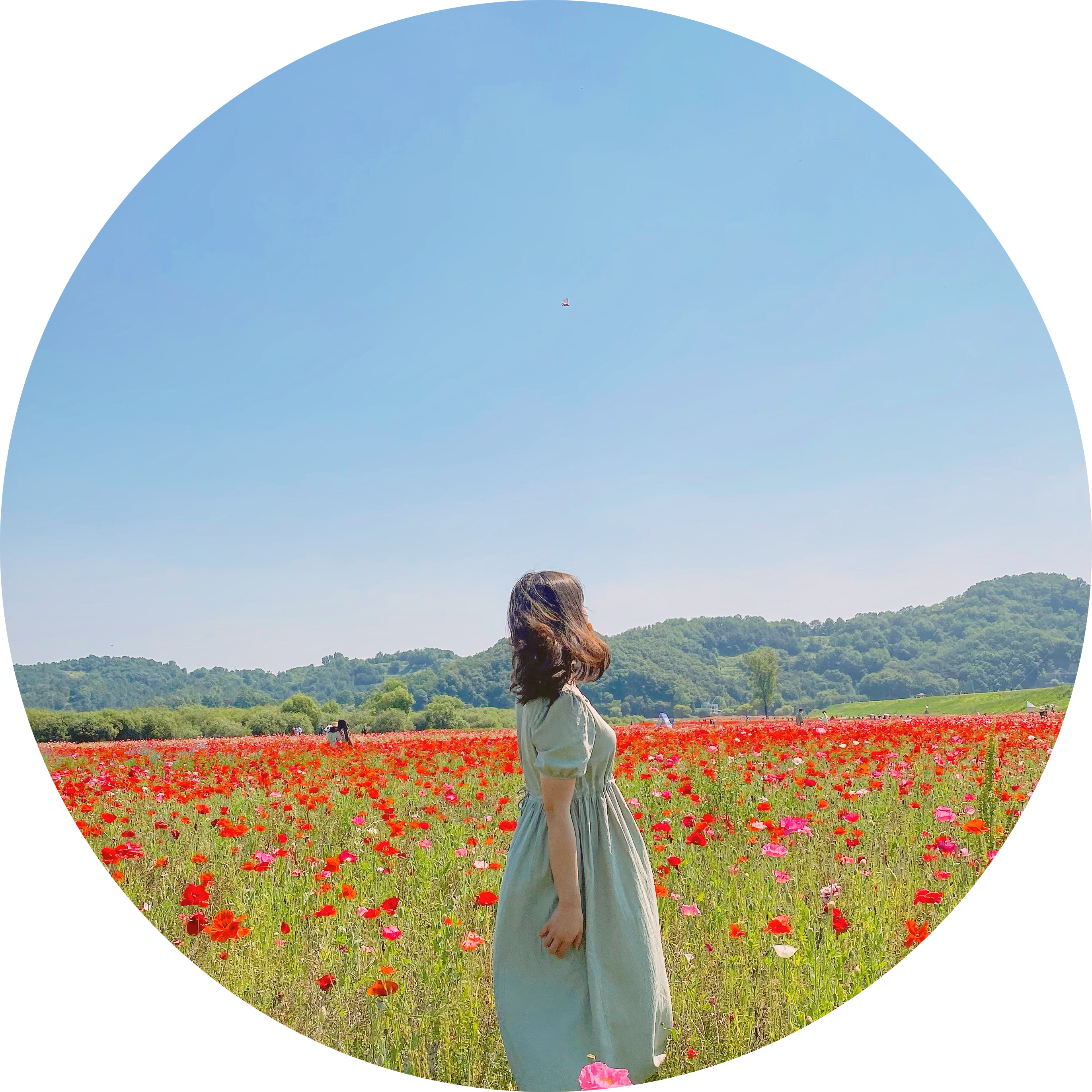 hui1017 프로필