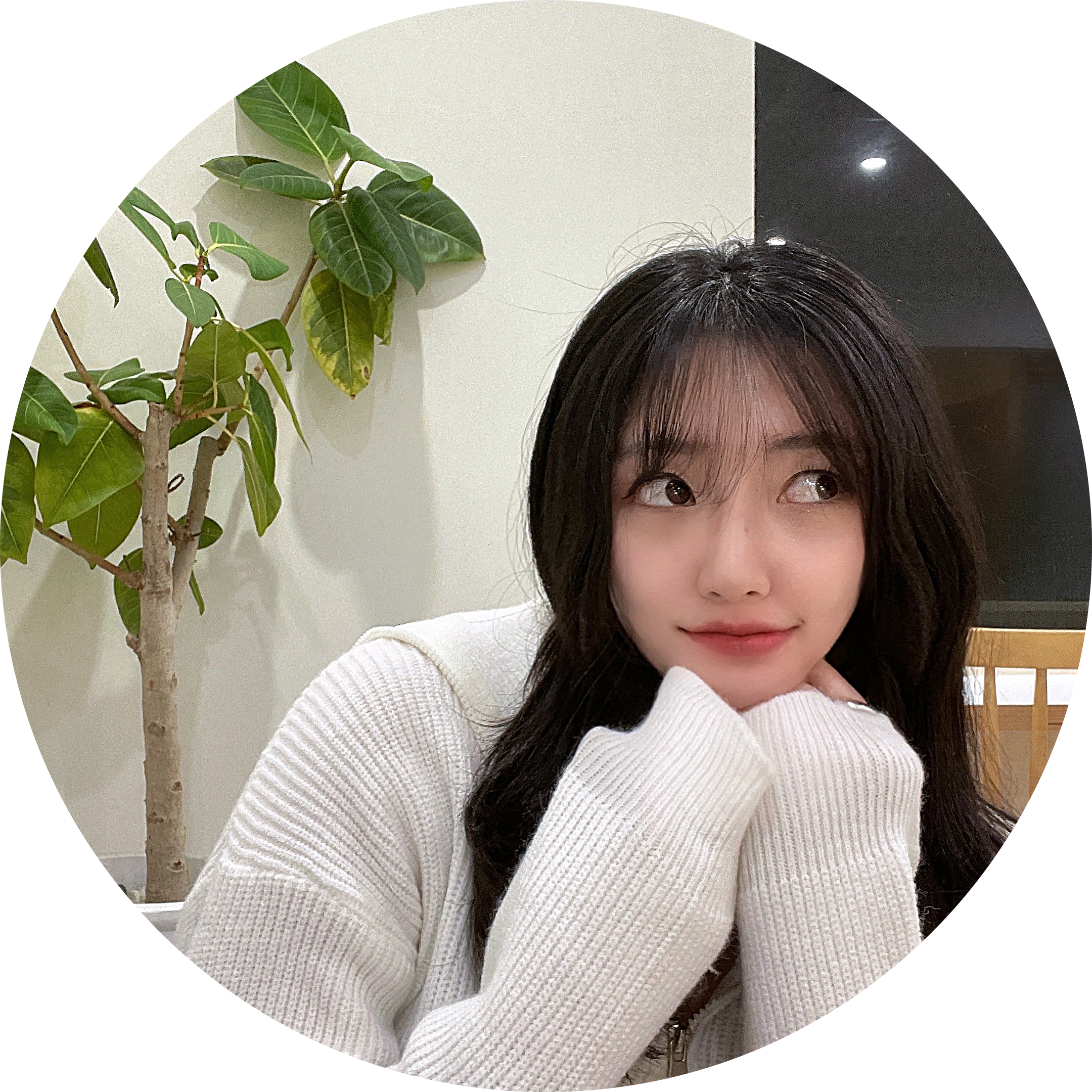 iiiijoo 프로필