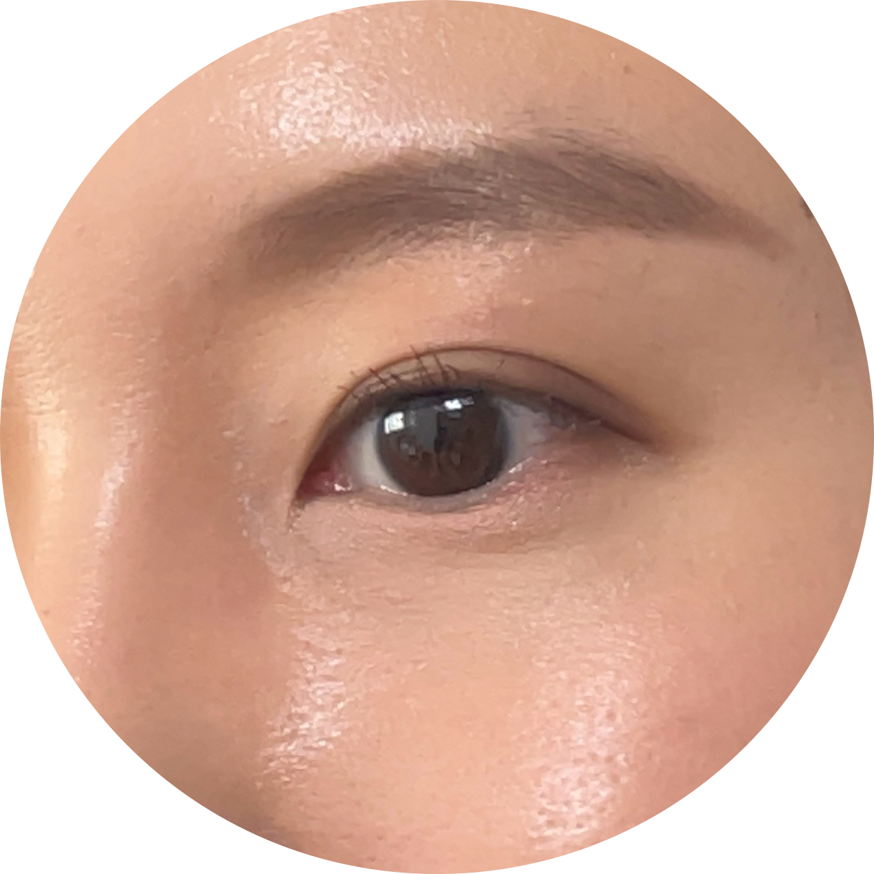 코덕내진심느껴지니 프로필