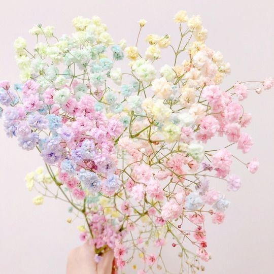 lovebeauty 프로필