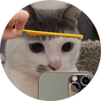 꽃서아