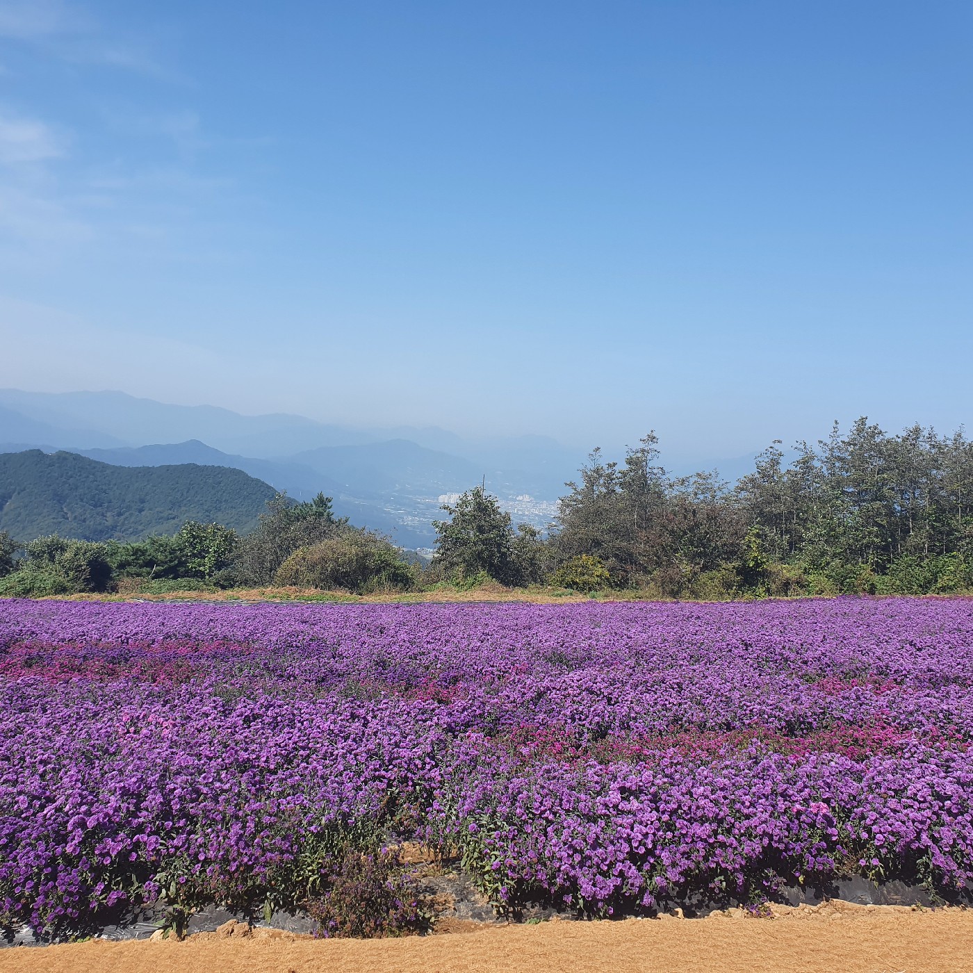 리뷰어 프로필