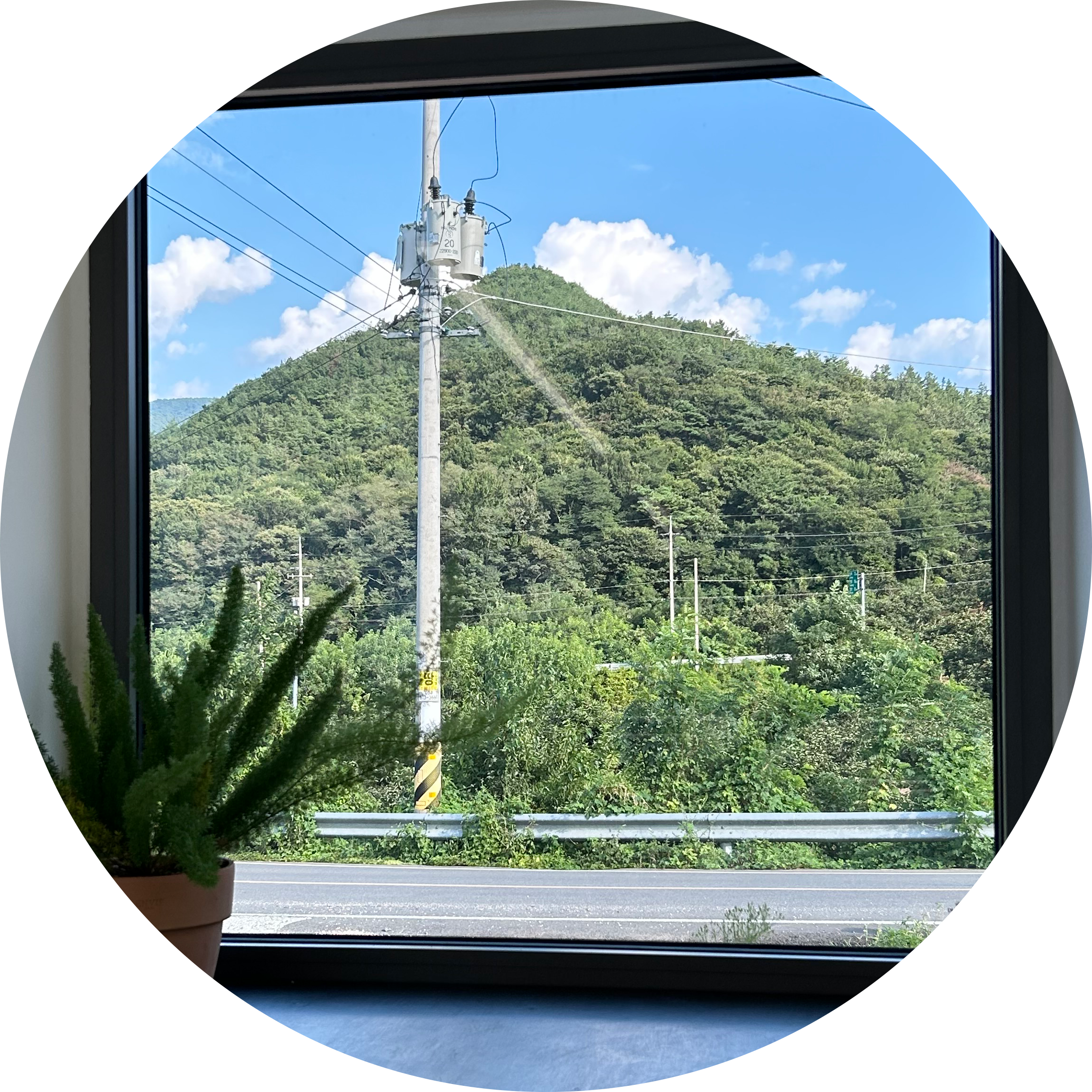 이쁘지잉 프로필