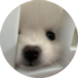 이오으
