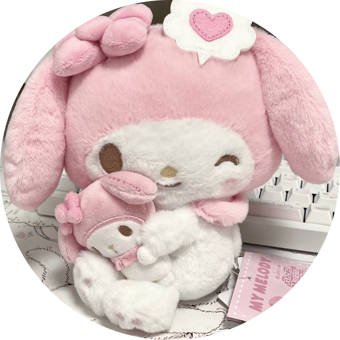 koducksuni 프로필
