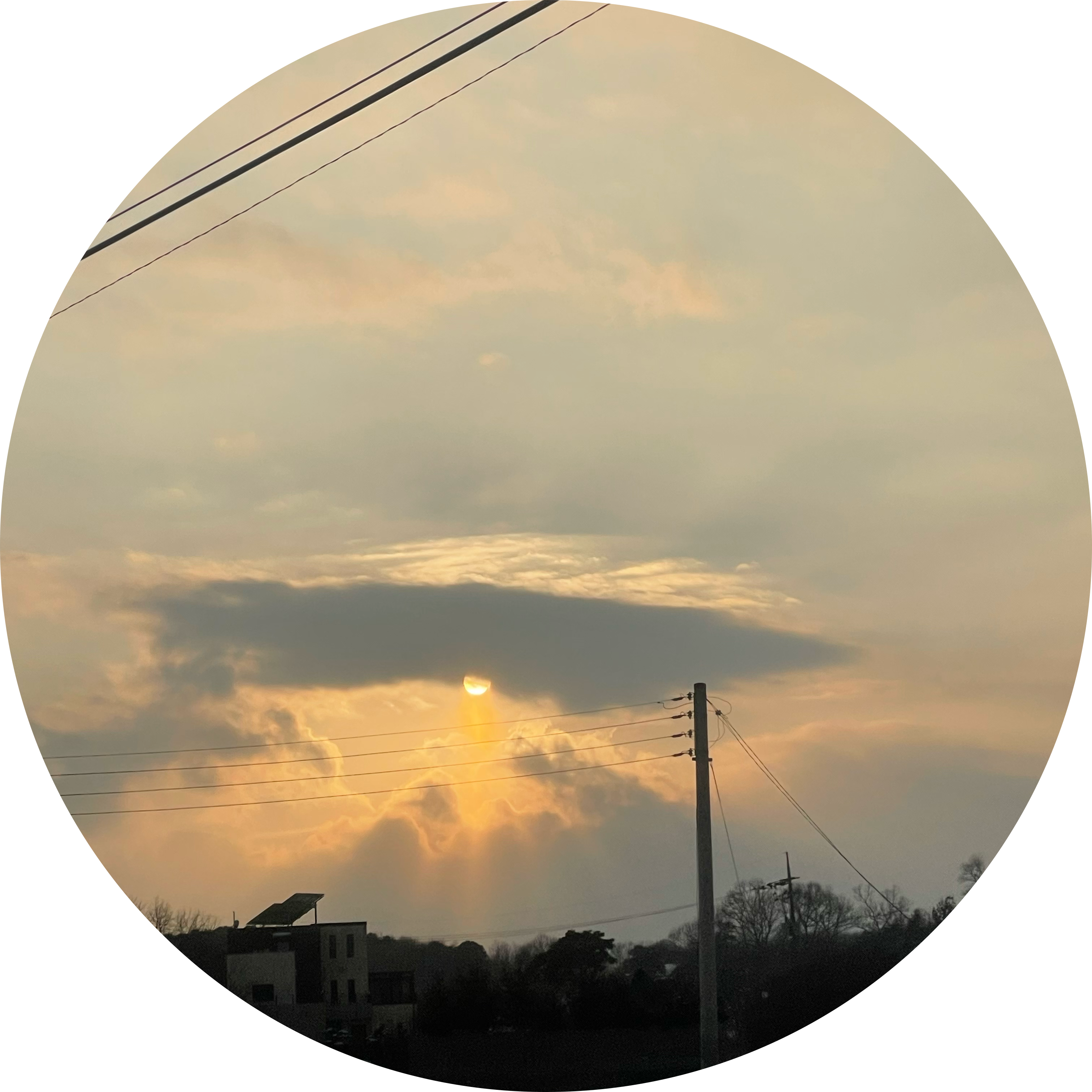 vbamv 프로필