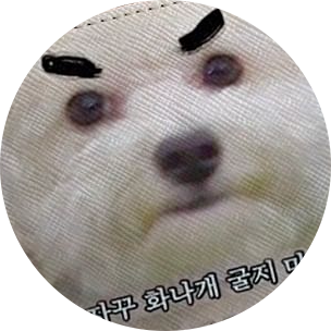 LJJ 프로필