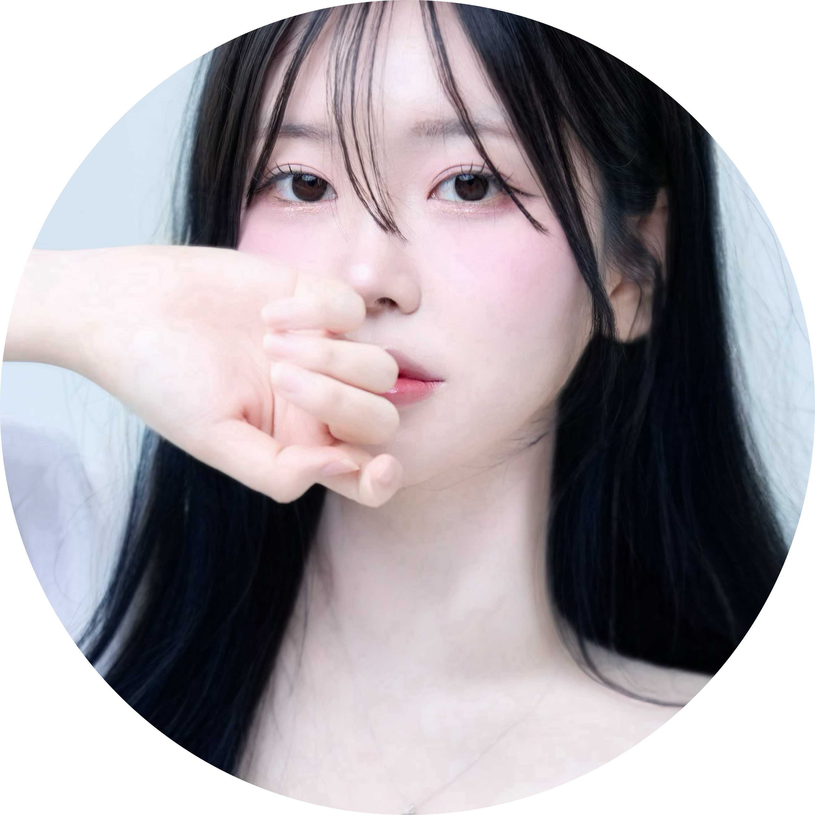 비챤챤 프로필