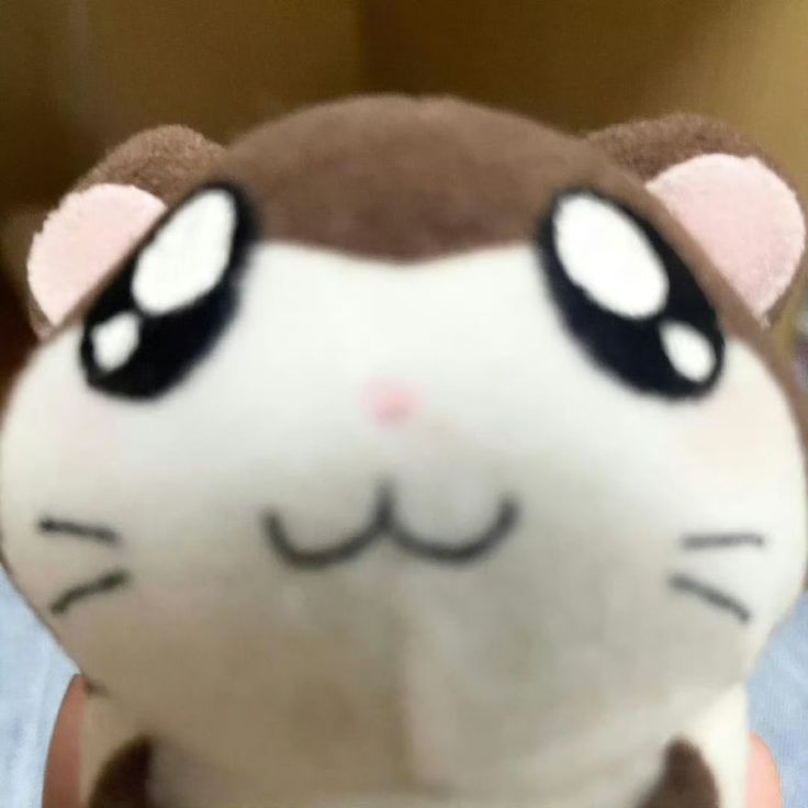 봄덕 프로필
