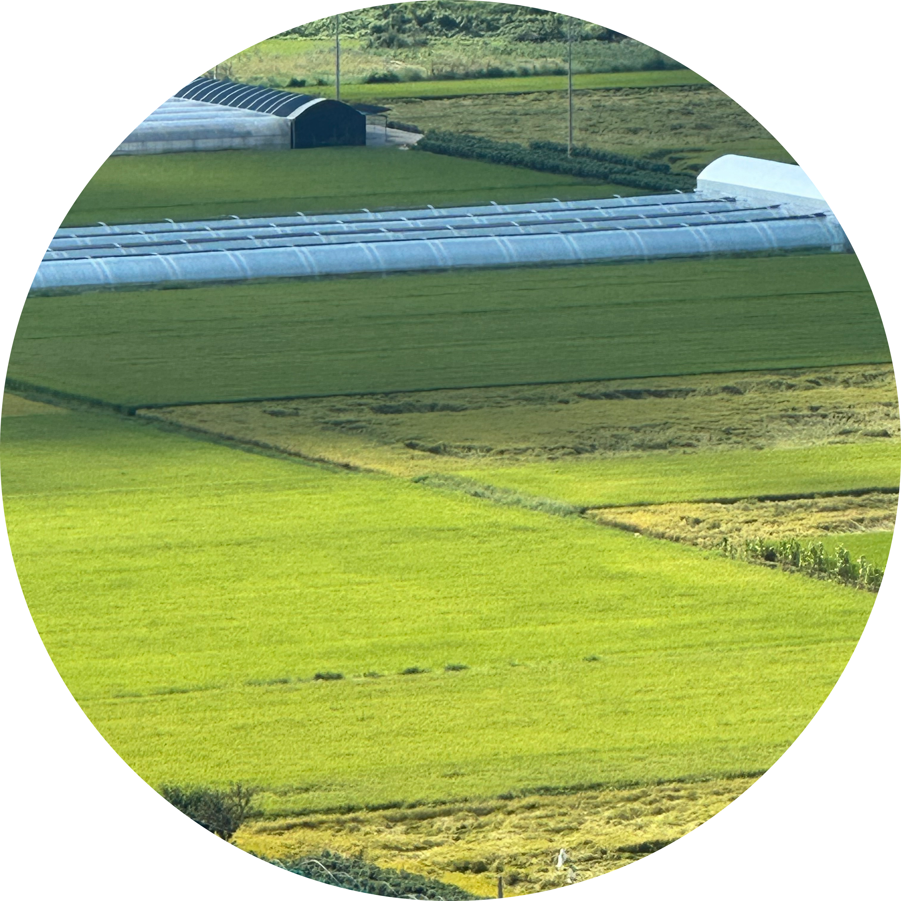 케이팅팅 프로필