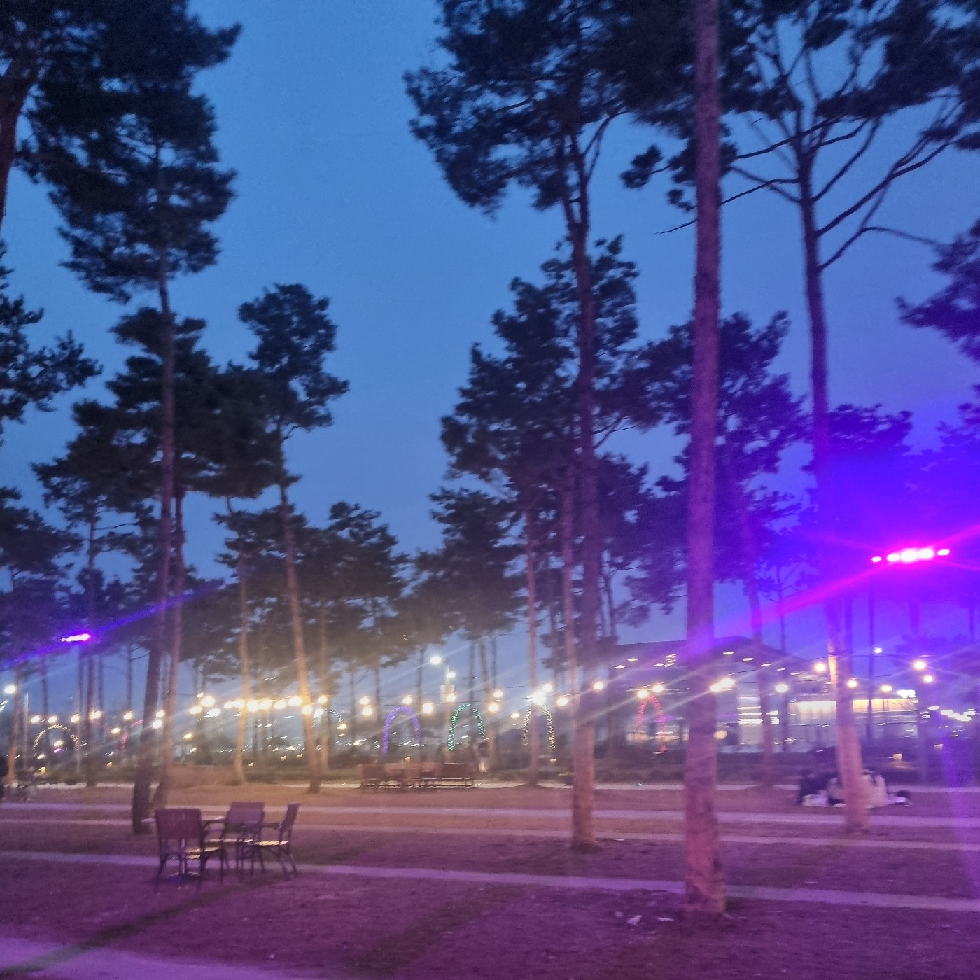 yhlove20 프로필