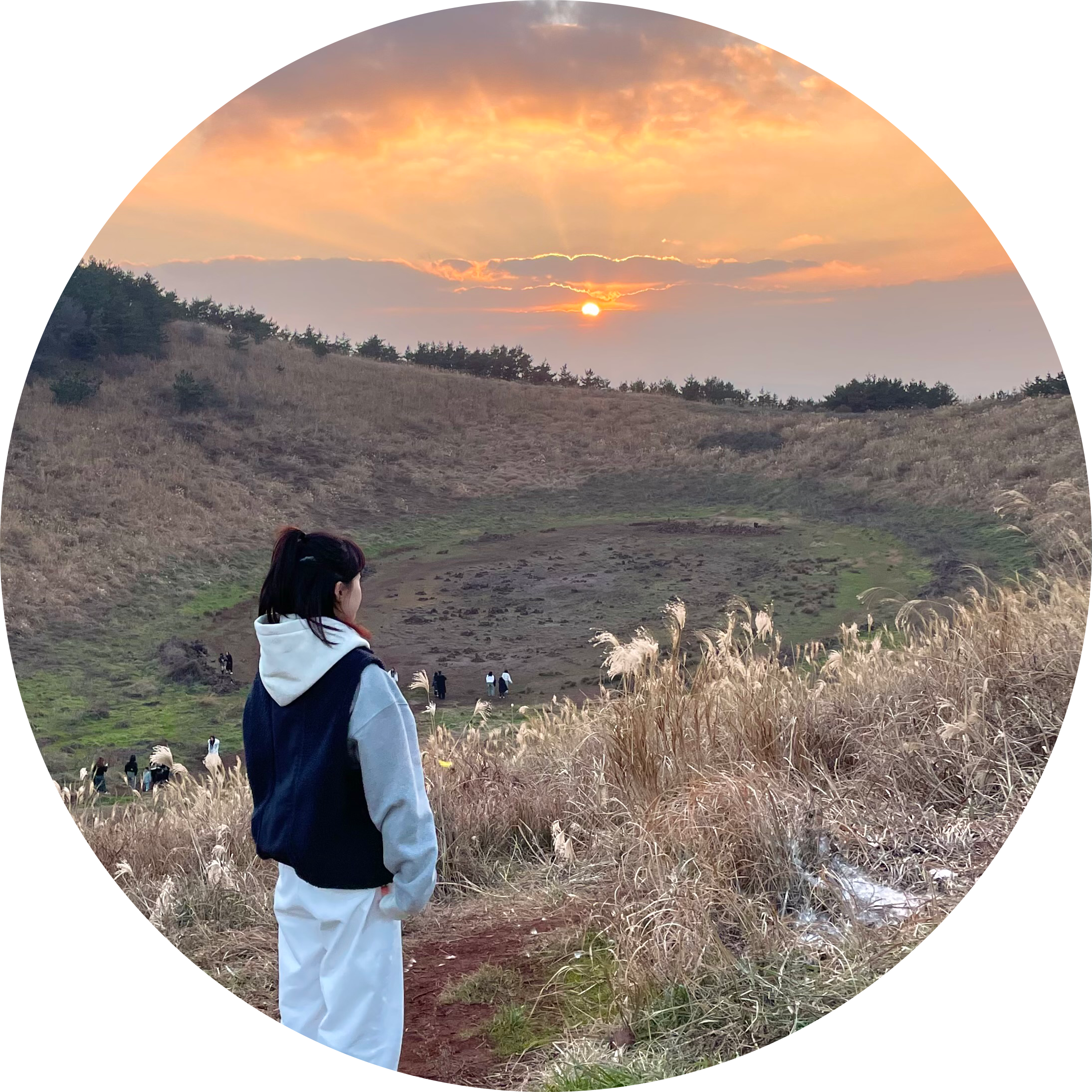 다삥 프로필