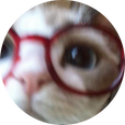 코덕할래요