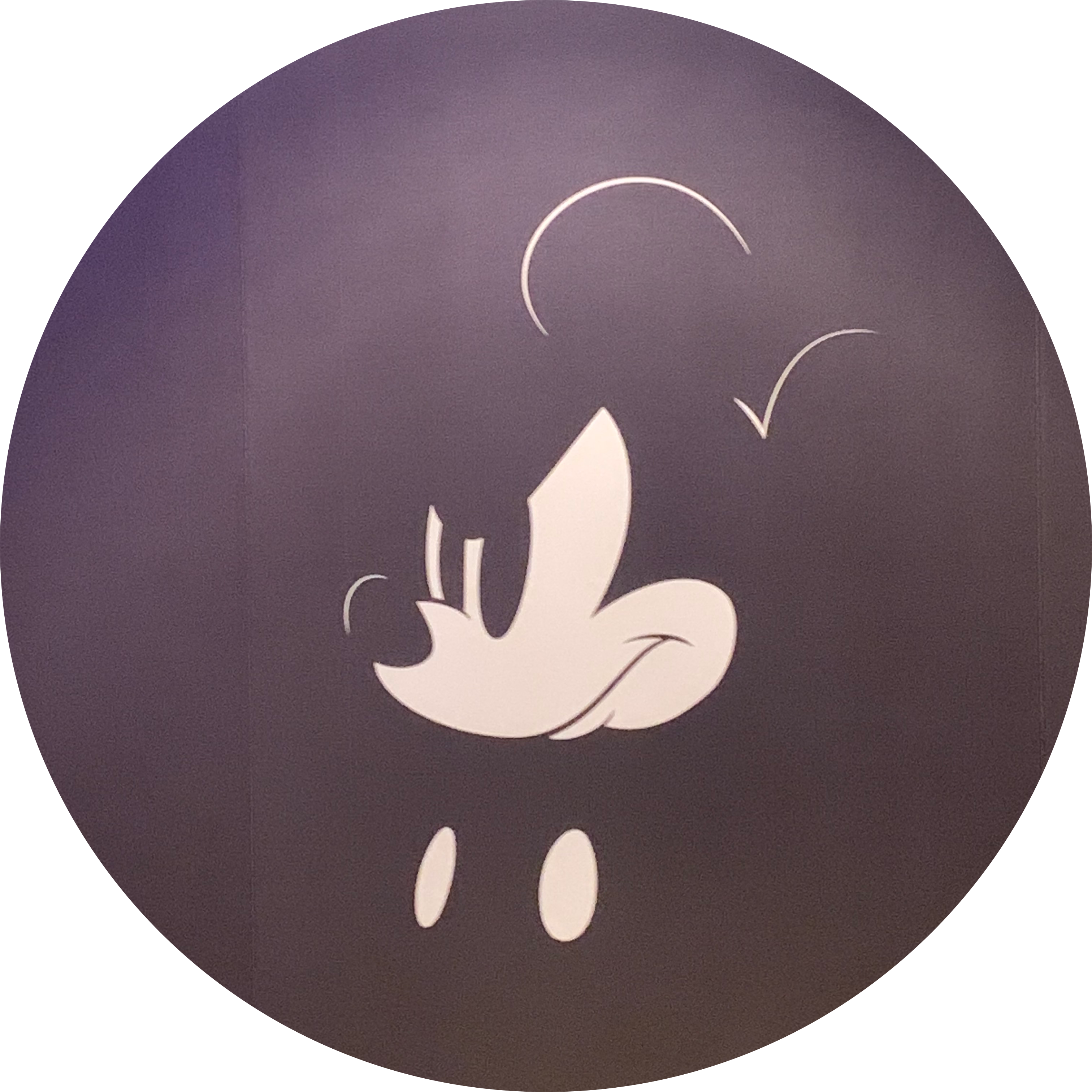 soopp 프로필