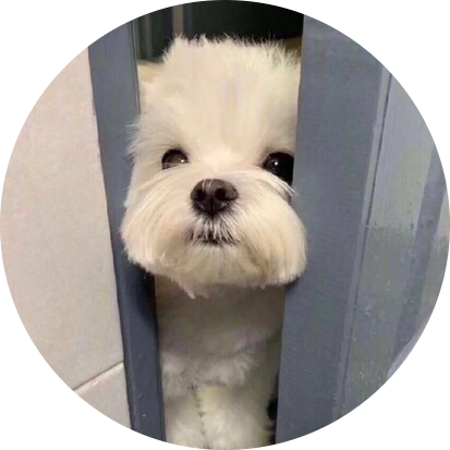 슈붕이 프로필