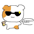 섹도시발