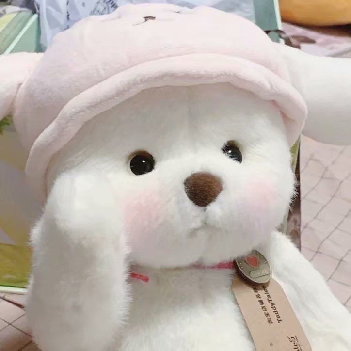 젼숭 프로필