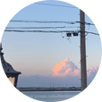 볼드