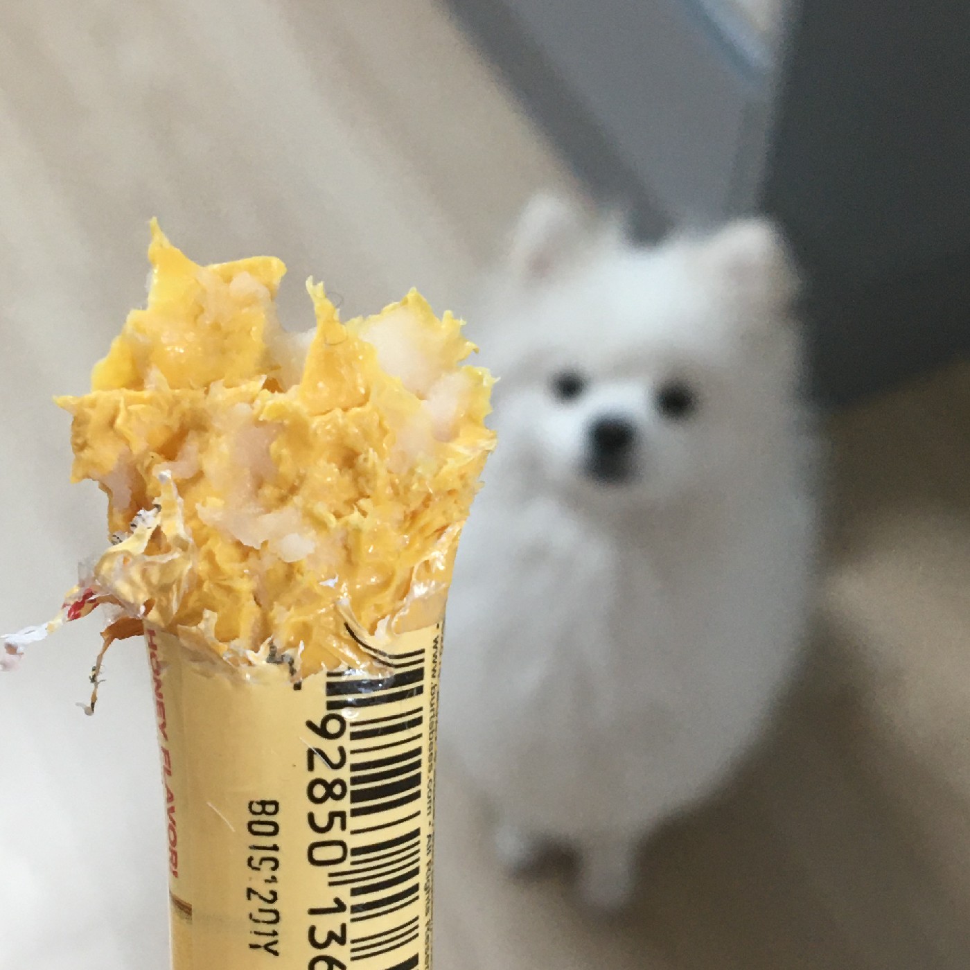 인간형따까리 프로필