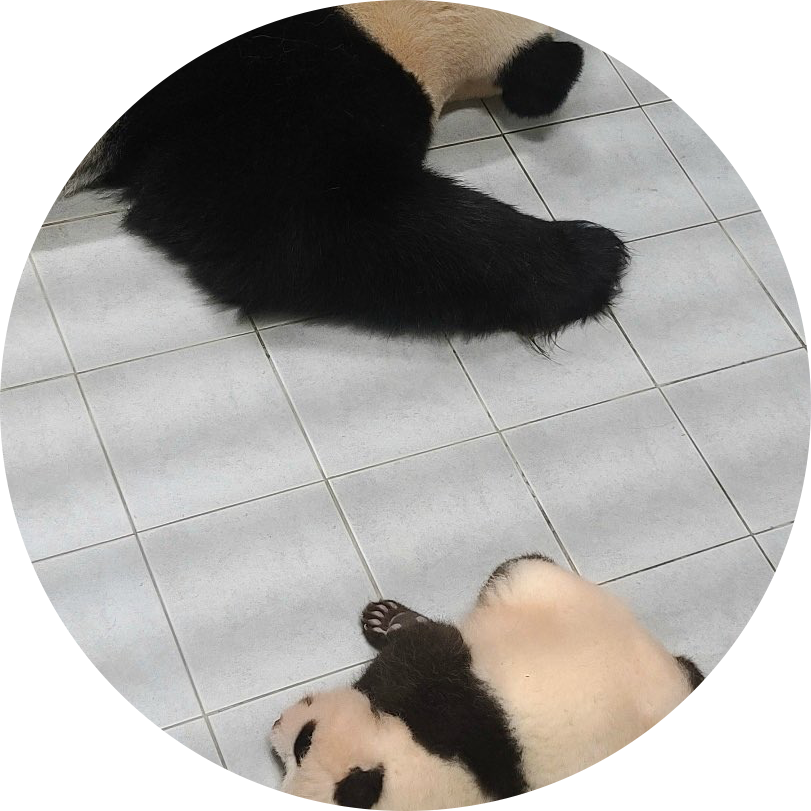 뿌용뽀용 프로필