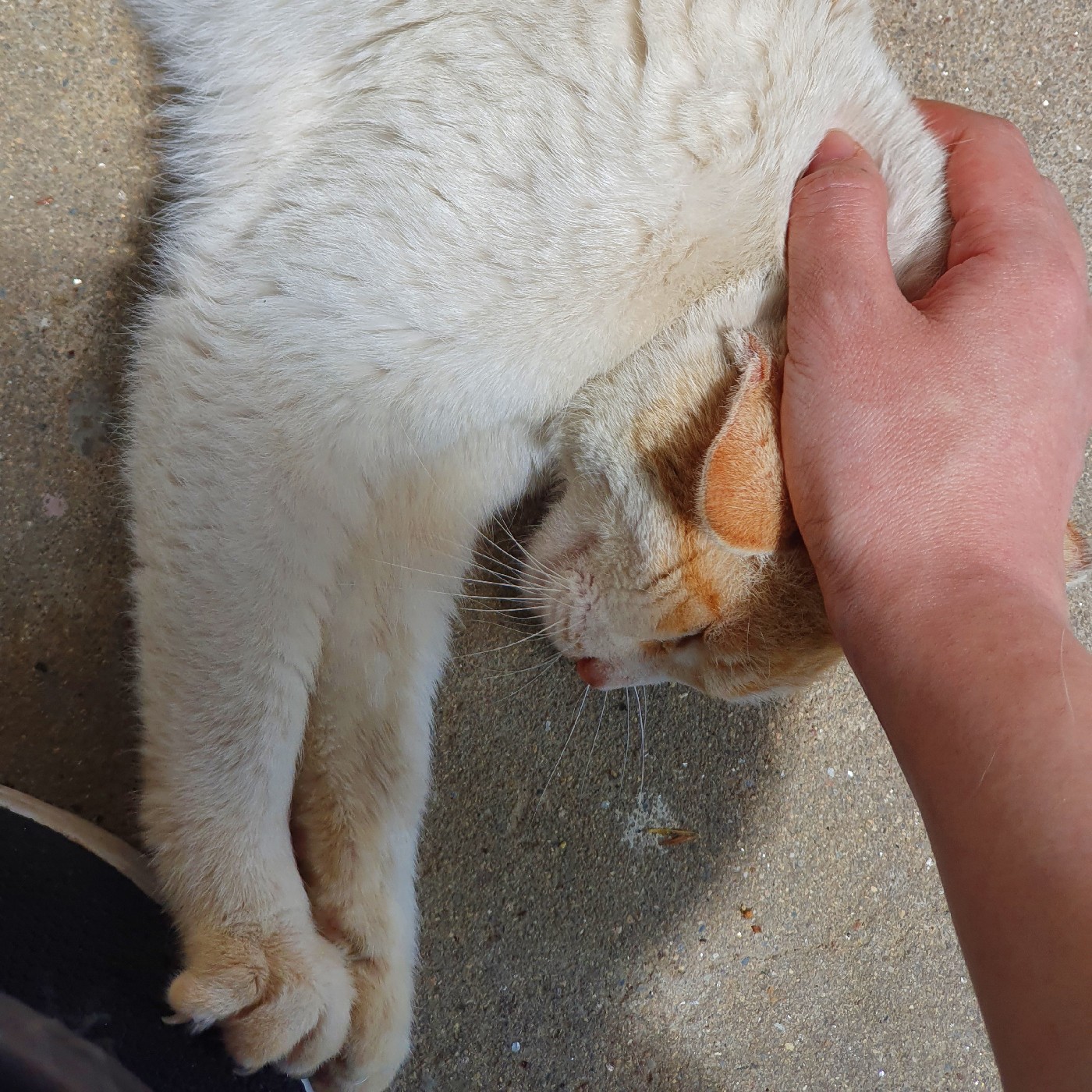 리뷰어 프로필