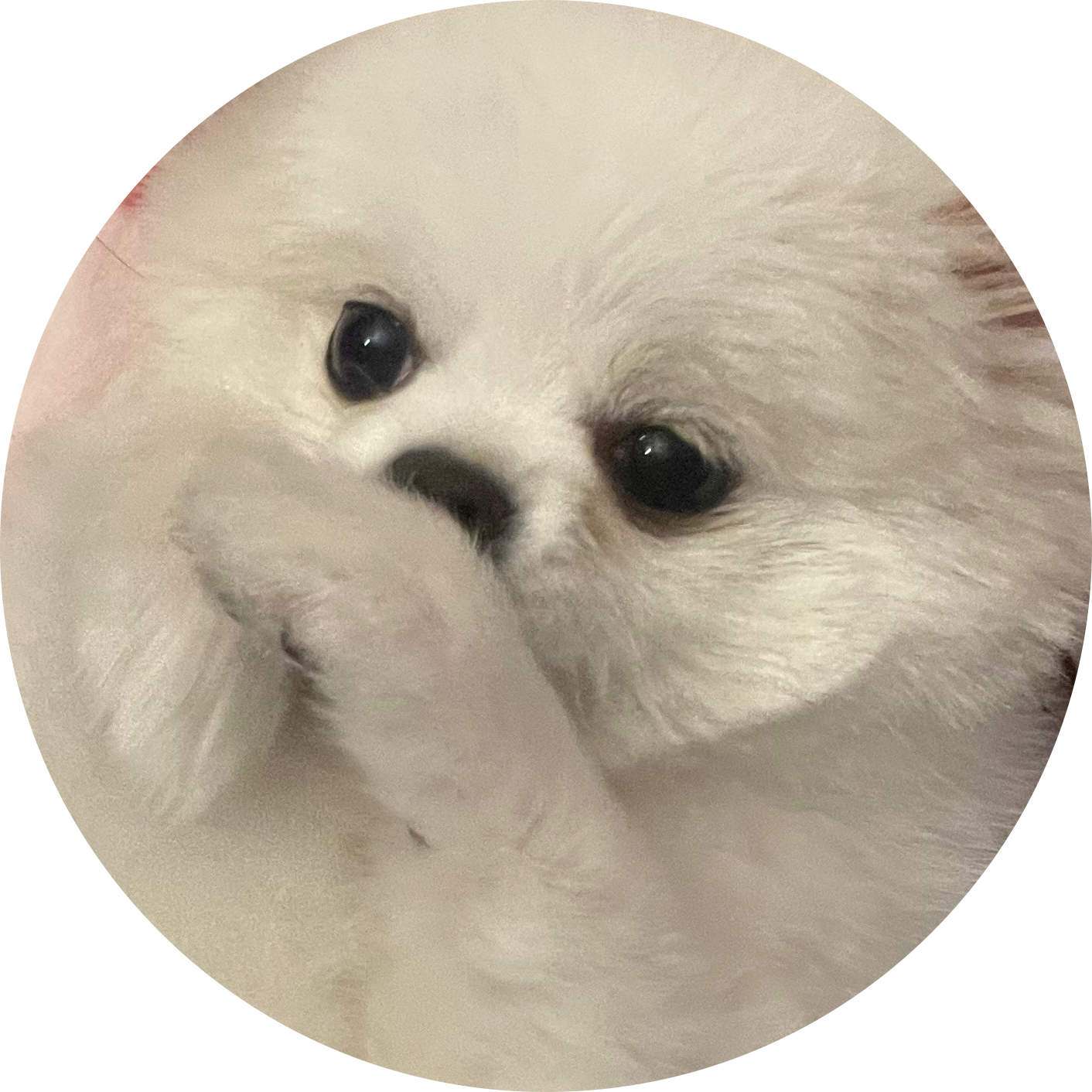 연두콩콩2 프로필
