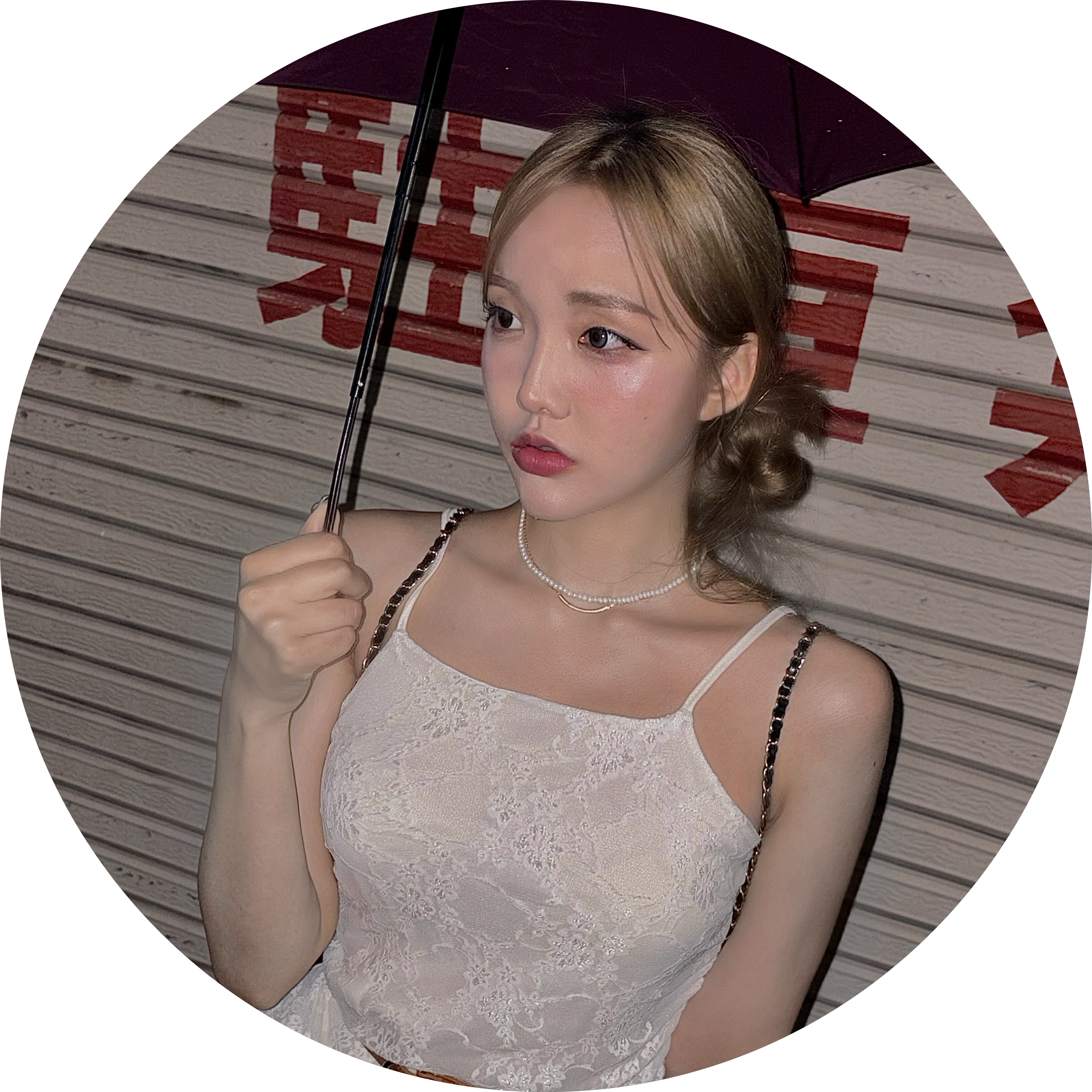 다즐링뽀에버 프로필
