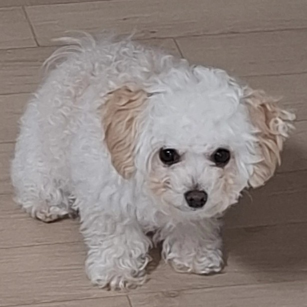 리뷰어 프로필