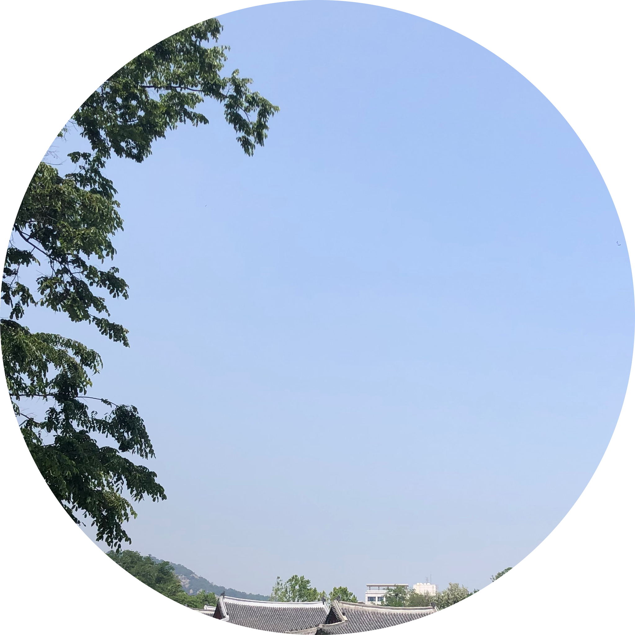 리뷰어 프로필